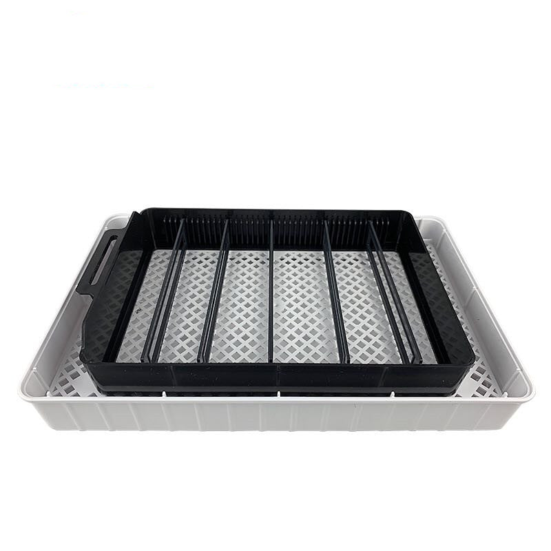 Buy 12 Small Automatic Incubators - Ensure Successful Egg Hatching